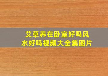 艾草养在卧室好吗风水好吗视频大全集图片