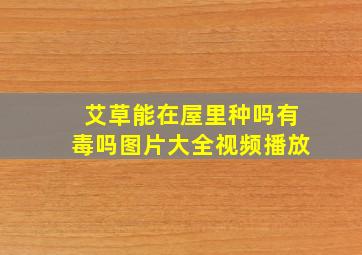 艾草能在屋里种吗有毒吗图片大全视频播放