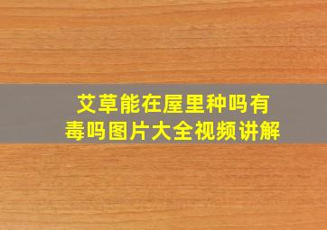 艾草能在屋里种吗有毒吗图片大全视频讲解