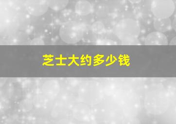 芝士大约多少钱