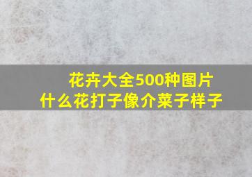 花卉大全500种图片什么花打子像介菜子样子