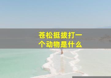 苍松挺拔打一个动物是什么