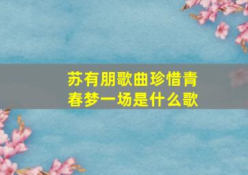 苏有朋歌曲珍惜青春梦一场是什么歌