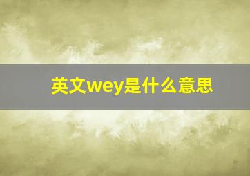 英文wey是什么意思