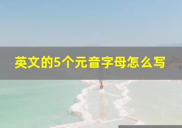 英文的5个元音字母怎么写