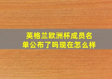 英格兰欧洲杯成员名单公布了吗现在怎么样