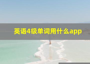 英语4级单词用什么app