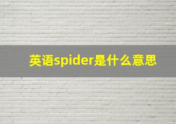 英语spider是什么意思