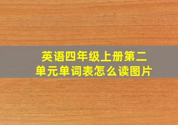 英语四年级上册第二单元单词表怎么读图片