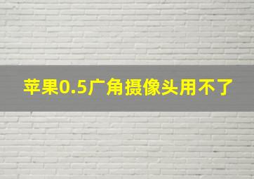 苹果0.5广角摄像头用不了