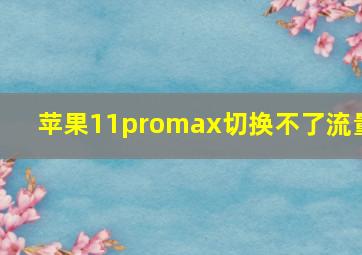 苹果11promax切换不了流量