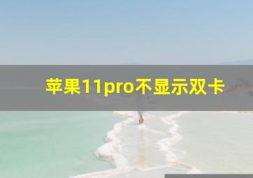 苹果11pro不显示双卡