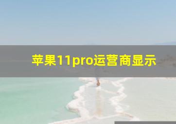 苹果11pro运营商显示