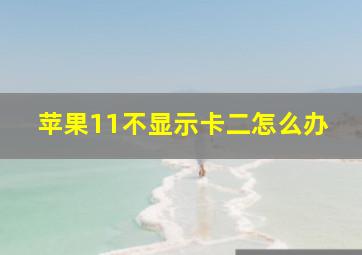 苹果11不显示卡二怎么办