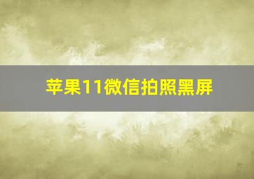 苹果11微信拍照黑屏