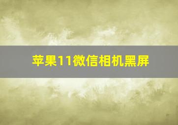 苹果11微信相机黑屏