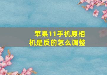 苹果11手机原相机是反的怎么调整