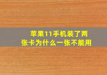 苹果11手机装了两张卡为什么一张不能用