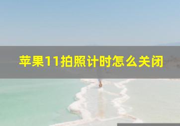 苹果11拍照计时怎么关闭