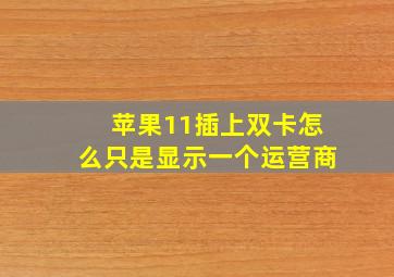 苹果11插上双卡怎么只是显示一个运营商