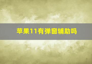 苹果11有弹窗辅助吗