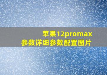 苹果12promax参数详细参数配置图片