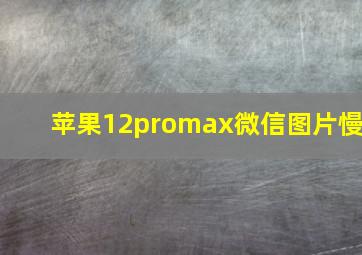 苹果12promax微信图片慢