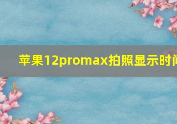 苹果12promax拍照显示时间