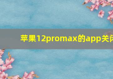 苹果12promax的app关闭