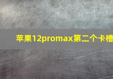 苹果12promax第二个卡槽