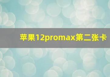 苹果12promax第二张卡