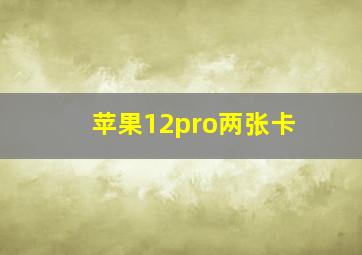 苹果12pro两张卡