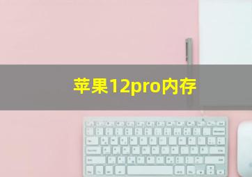 苹果12pro内存