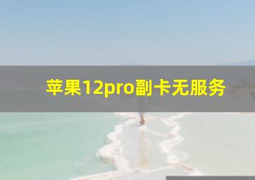 苹果12pro副卡无服务