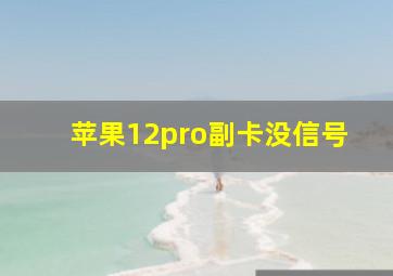 苹果12pro副卡没信号