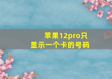 苹果12pro只显示一个卡的号码