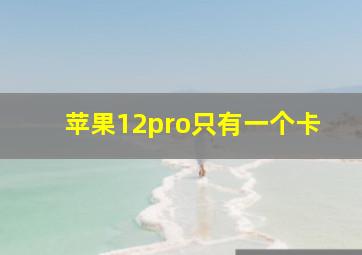 苹果12pro只有一个卡