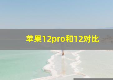 苹果12pro和12对比