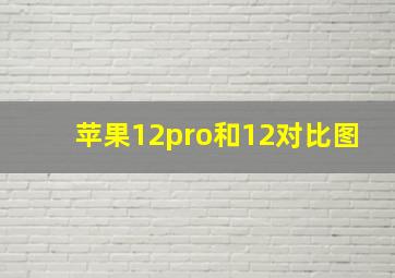 苹果12pro和12对比图