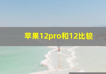 苹果12pro和12比较