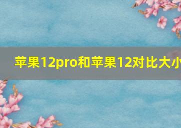 苹果12pro和苹果12对比大小