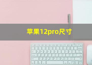 苹果12pro尺寸