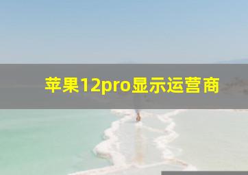 苹果12pro显示运营商