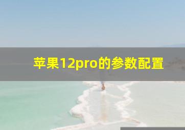 苹果12pro的参数配置