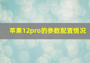 苹果12pro的参数配置情况