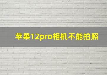 苹果12pro相机不能拍照