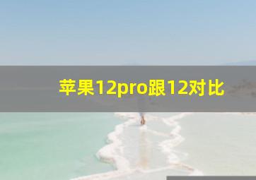 苹果12pro跟12对比