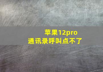 苹果12pro通讯录呼叫点不了