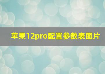 苹果12pro配置参数表图片