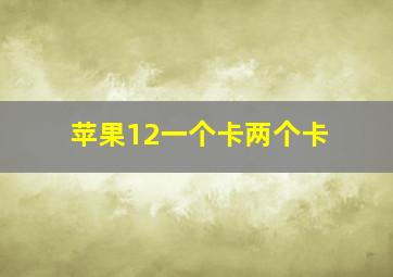 苹果12一个卡两个卡